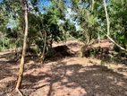 (DL677) 302 Perch Land for Sale in Panadura