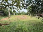 (DL828) 213 Perch Land For Sale in Homagama