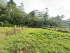 (DL847) Land for Sale in Kadawatha