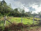 (DL847) Land for Sale in Kadawatha