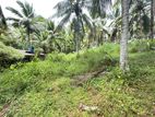 (DL876) 120 Perch Land For Sale in Salawa, Kosgama