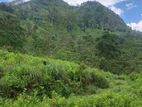 (DL992) 4 Acer Land For Sale in Beragala