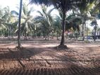 දළදාගමට ලගින් පදිංචි ඉඩමක්