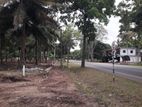 දළදාගමට ලගින්ම අනුරාධපුර බස් පාරින් ඉඩමක්
