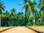 දම්බොක්ක අධිවේගී පිවිසුමට විනාඩි 5 දුරින් ඉඩමක්