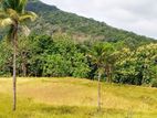 දඹුල්ල අවටින් අක්කර 2ක් ව්කිණිමට ඇත