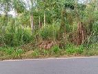 දඹුල්ල අවටින් අක්කර 9ක් ව්කිණිමට ඇත