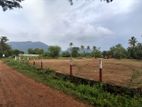 දඹුල්ල නගර සීමාවෙන් සින්නක්කර බිම්කොටස්