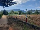 දඹුල්ල නුවර පාරට නුදුරින් නගරසභා සීමාවෙන්ම ඉඩම්