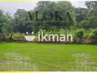 දඹුල්ල – නුවර ප්‍රධාන මාර්ගයට නුදුරින් ඉඩමක් විකිණීමට