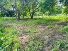 දඹුල්ල ඔරලෝසු කනුවේ සිට 1.2km දුරින් සින්නක්කර ඉඩම් - Lands Dambulla