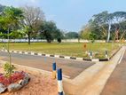 දඹුල්ල Town ඉඩමක්