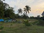 දඹුල්ල – වවුල් අඹේ ප්රදේශයෙන් අගනා ඉඩමක් විකිණීමට