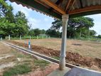 දඹුල්ලේ ඉඩමෙන් බිම්කොටසක්