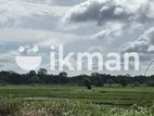 දඹුල්ලේන් අනර්ග ඉඩමක් විකිණීමට - Land for sale in Dambulla