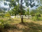 දඹුල්ලෙන් අනර්ග ඉඩමක් විකිණීමට - Land for sale in Dambulla
