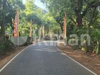 දඹුල්ලෙන් අනර්ග ඉඩමක් විකිණීමට - Land for Sale in Dambulla