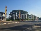 දඹුල්ලෙන් අනර්ග ඉඩමක් විකිණීමට - Land for Sale in Dambulla