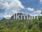 දඹුල්ලෙන් අනර්ග ඉඩමක් විකිණීමට - Land for Sale in Dambulla