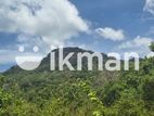 දඹුල්ලෙන් අනර්ග ඉඩමක් විකිණීමට - Land for Sale in Dambulla