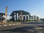 දඹුල්ලෙන් අනර්ග ඉඩමක් විකිණීමට - Land for Sale in Dambulla