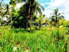 Land For Sale In Dambulla