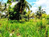 Land For Sale In Dambulla