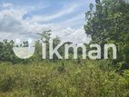 දඹුල්ලෙන් ඉඩමක් විකිණීමට - Land for Sale in Dambulla