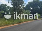 දඹුල්ලෙන් ඉඩමක් විකිණීමට - Land for Sale in Dambulla