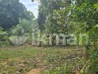 දඹුල්ලෙන් ඉඩමක් විකිණීමට - Land for Sale in Dambulla