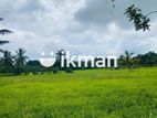 දඹුල්ලෙන් ඉඩමක් විකිණීමට - Land For Sale in Dambulla