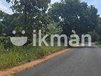 දඹුල්ලෙන් ඉඩමක් විකිණීමට - Land for Sale in Dambulla