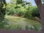 දඹුල්ලෙන් ඉඩමක් විකිණීමට - Land for Sale in Dambulla