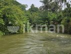දඹුල්ලෙන් වටිනා ඉඩමක් විකිණීමට - Land For Sale in Dambulla