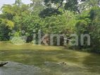 දඹුල්ලෙන් වටිනා ඉඩමක් විකිණීමට - Land For Sale in Dambulla
