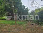 දඹුල්ලෙන් වටිනා ඉඩමක් විකිණීමට - Land For Sale in Dambulla