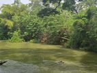 දඹුල්ලෙන් වටිනා ඉඩමක් විකිණීමට - Land For Sale in Dambulla