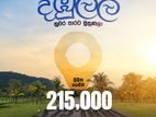 දඹූල්ල ඉඩමක් විකිනිමට