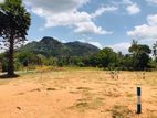 දඹූල්ල මාතලේ පාරෙන් බිම් කොටස්