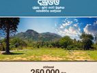 දඹූල්ල - පන්නම්පිටිය හන්දියෙන් බිම් කොටස්