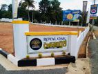 දන්කොටුව නගරයට ආසන්නයෙන් ඉඩමක්