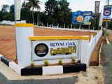 දන්කොටුව නගරයට ආසන්නයෙන් ඉඩමක්