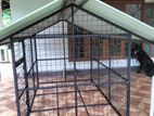 Dog Cage