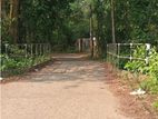 ■ Dodangoda Land with Villas For Sale (NK11674)