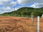 Dodangoda Valuable Land for Sale