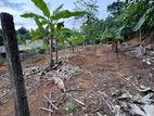 දොඩන්ගොඩ පර්චස් 42ක ඉඩමක් විකිනීමට