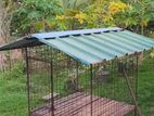Dog Cage