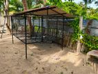 Dog Cages