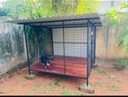 Dog Cage (6ft X 6ft)