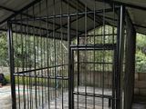 Dog Cage